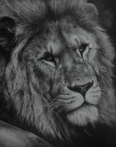 236x300 Wildlife Art - Animal Art Drawing