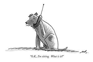 300x201 Animal Cell Drawings Fine Art America - Animal Cell Drawing