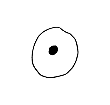 352x335 How To Draw Animal Cell - Animal Cell Drawing