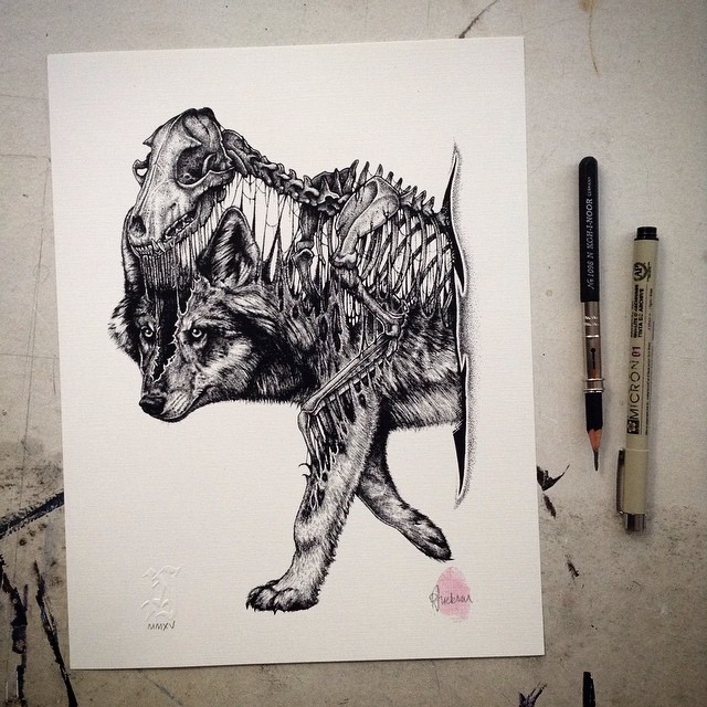 640x640 Animals Leave Their Skeletons Behind In Stunning Dark Drawings - Animal Drawing Art
