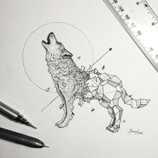 620x620 Artist Pairs Wildlife With Geometry To Create Stunning, Lively - Animal Drawing Art