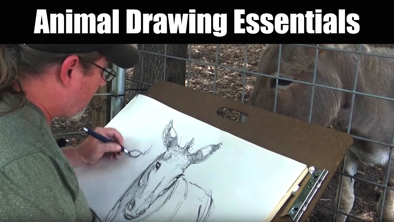 1280x720 Drawing - Animal Drawing Art