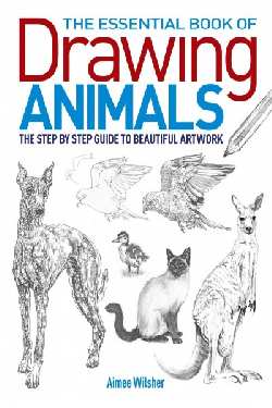 250x375 Buy Drawing Art Techniques Books Online Qbd Books - Animal Drawing Book