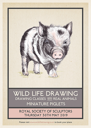 320x450 Forthcoming Classes - Animal Drawing Book
