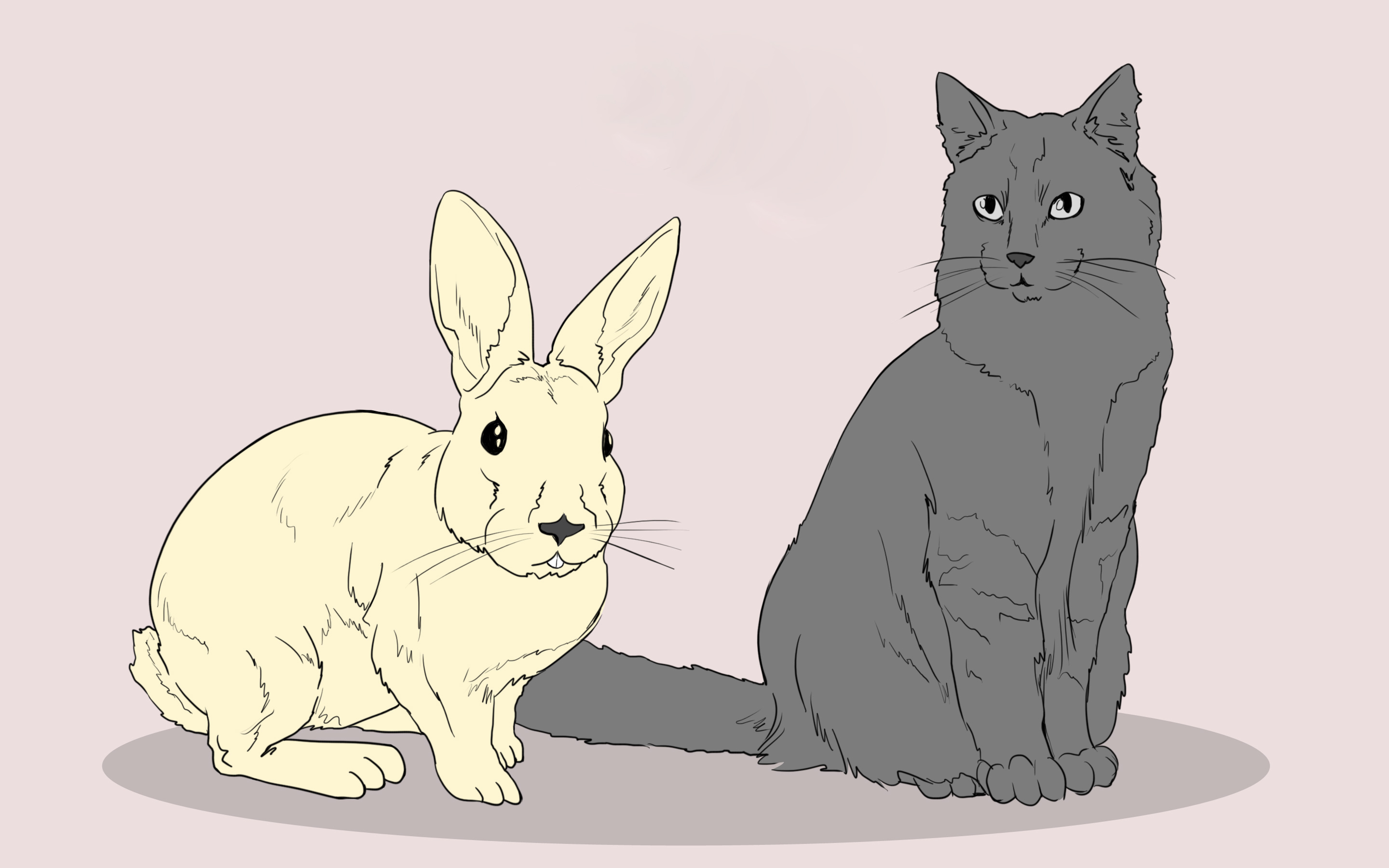 2880x1800 Ways To Draw Animals - Animal Drawing Drawing