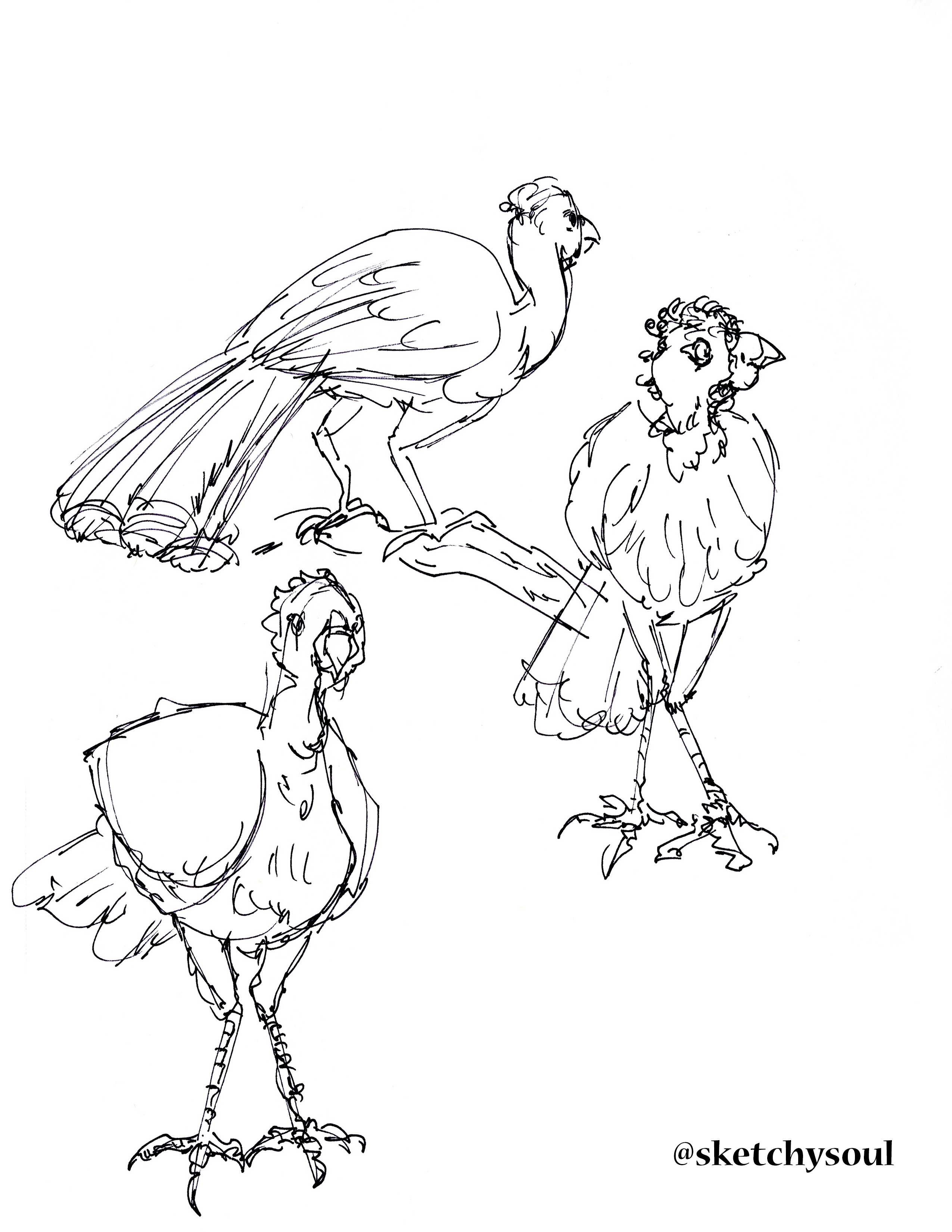 2550x3300 Life Drawing - Animal Drawing Drawing