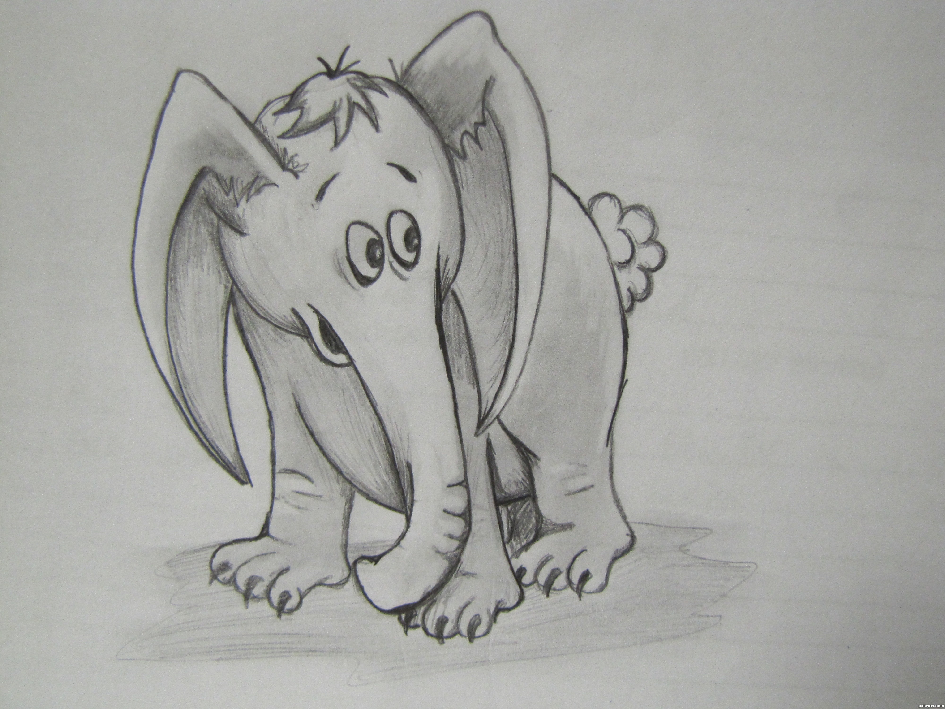 4000x3000 Wanna Play!! Picture - Animal Drawing Drawing