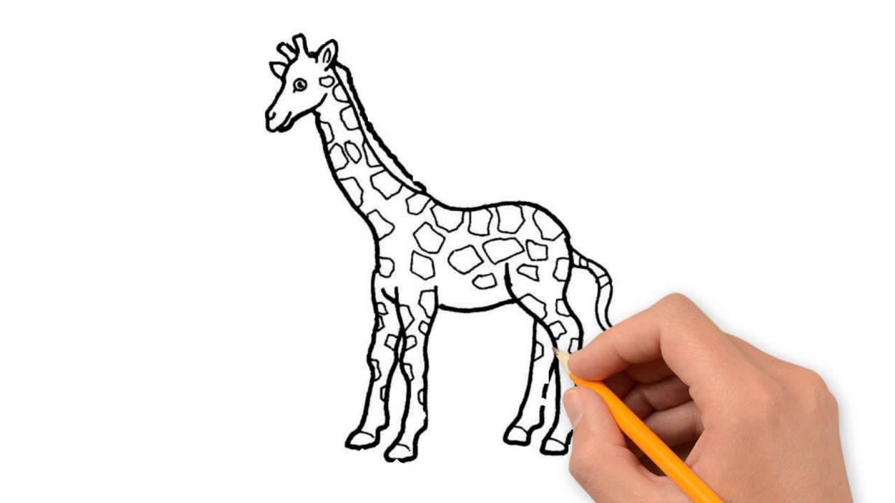 1280x720 Wild Animals Animals Pencil To Draw Step - Animal Drawing Drawing