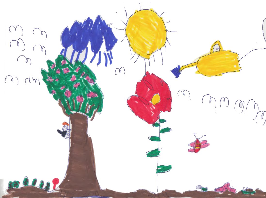 1097x819 Children Understand Plant Animal Interdependence - Animal Drawing For Children