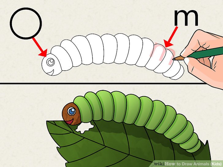 728x546 How To Draw Animals - Animal Drawing For Children