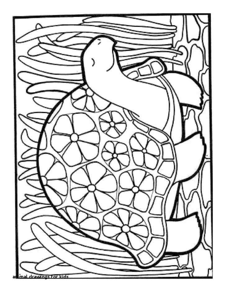 728x942 Animal Drawings For Kids How To Draw An Owl - Animal Drawing For Children