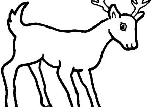 300x210 Sketches Of Wild Animals For Kids Tiger - Animal Drawing For Kids