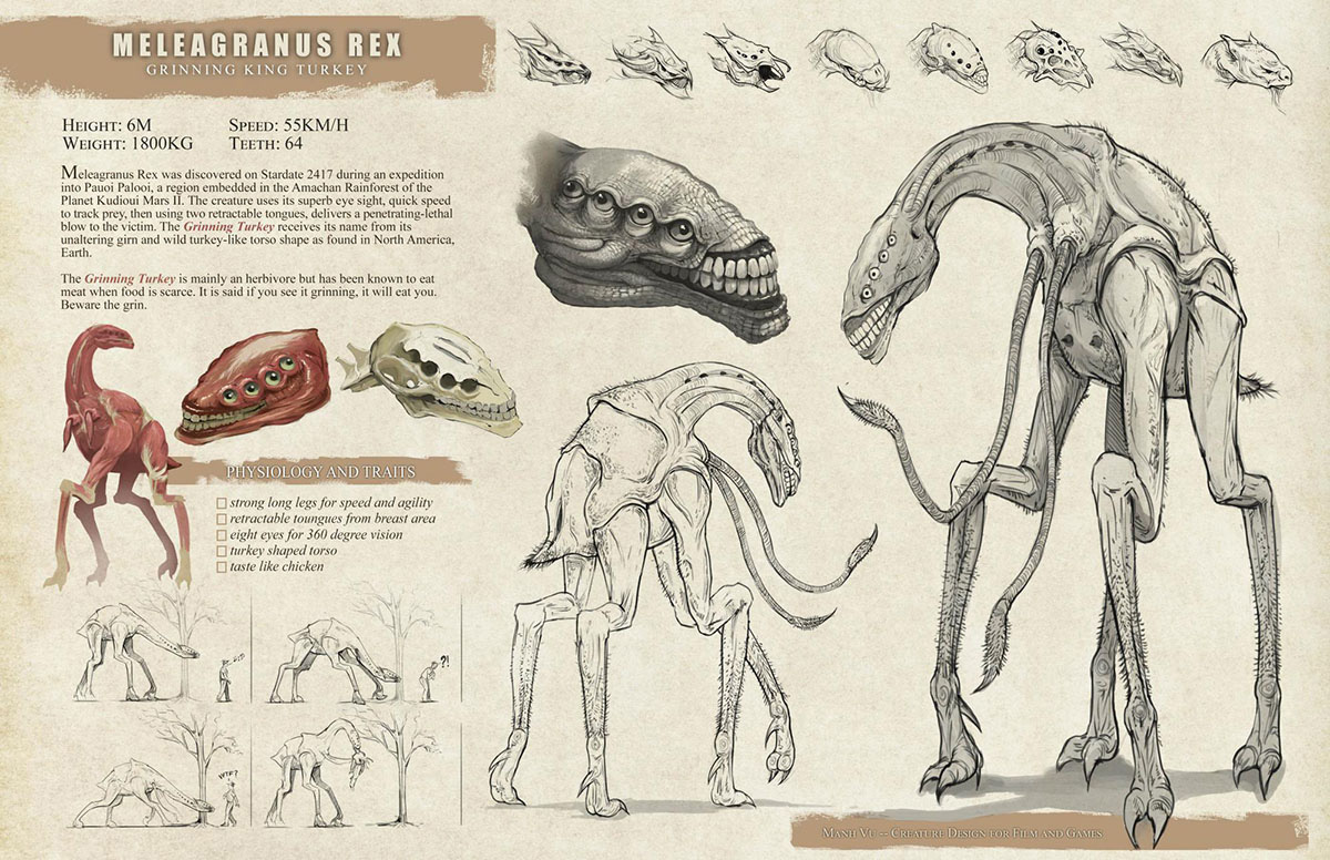 1200x776 Cgma - Animal Drawing Games