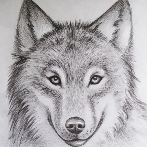 Animal Drawing Ideas at PaintingValley.com | Explore collection of ...