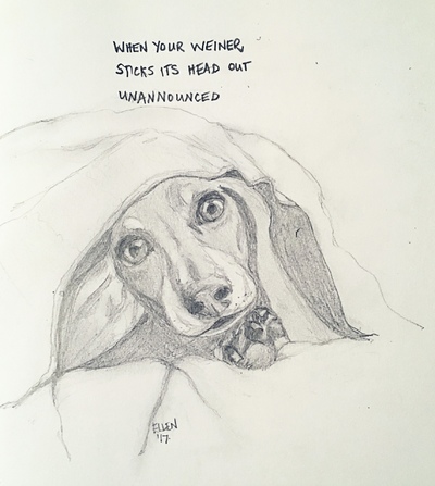 400x447 Animal Drawings - Animal Drawings