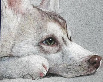 340x270 Animal Drawings Etsy - Animal Drawings