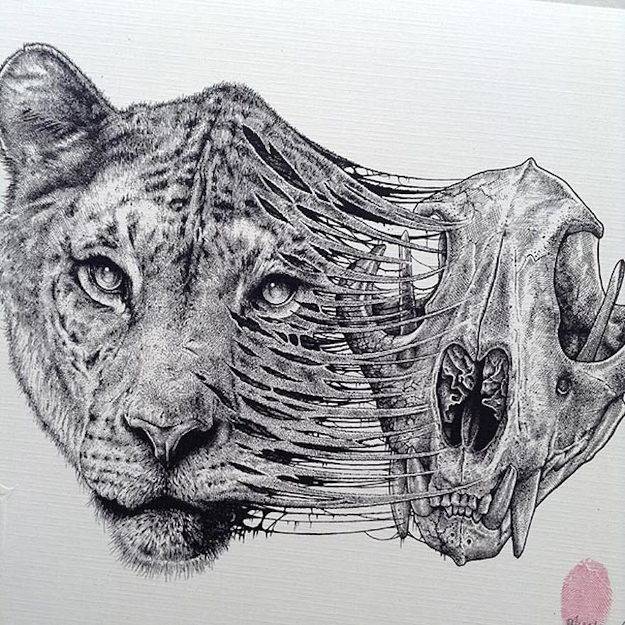 880x880 Animals Evolve Out Of Their Skeletons In Dark Drawings - Animal Drawings