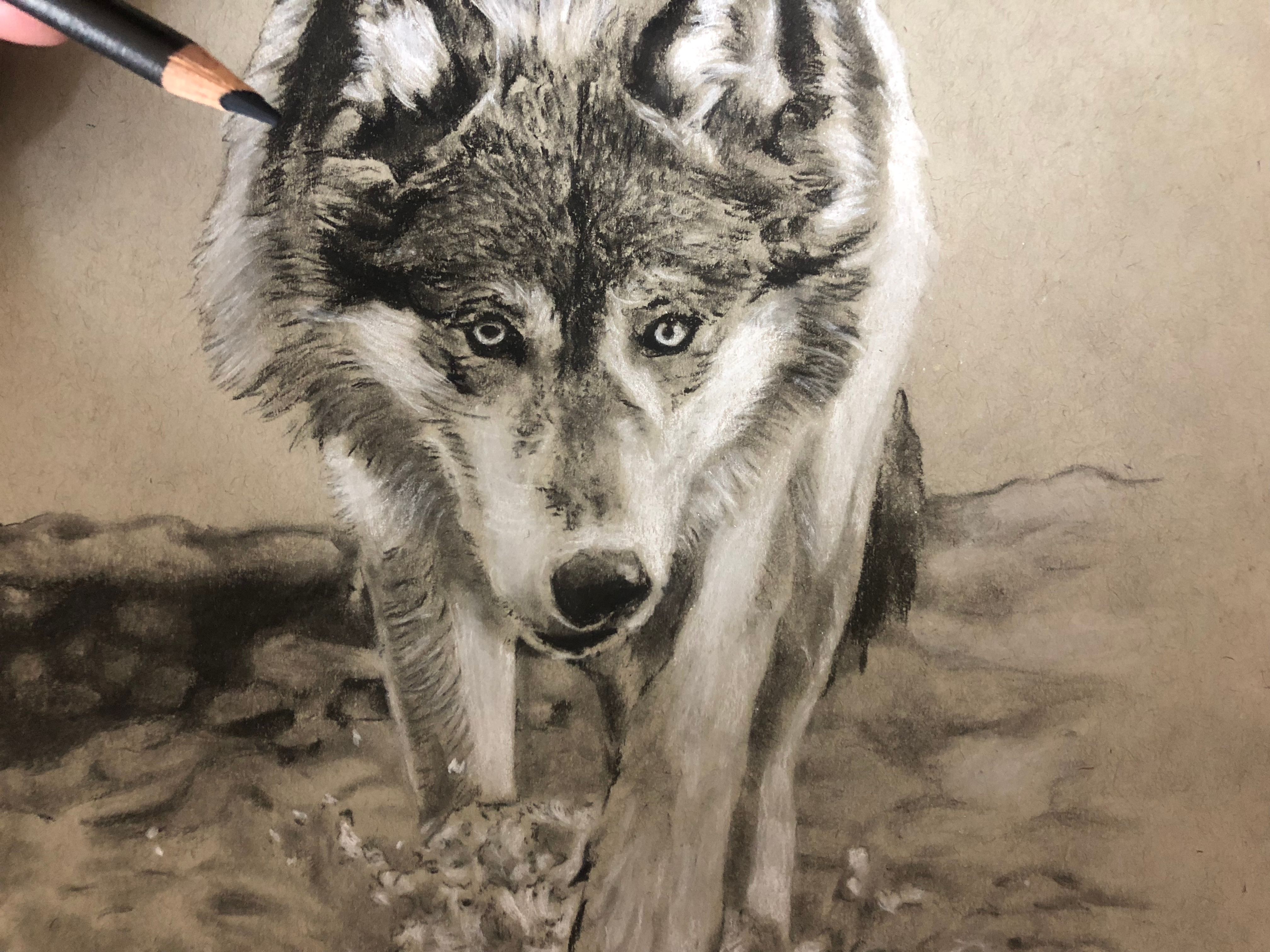 Animal Drawings at PaintingValley.com | Explore collection of Animal ...