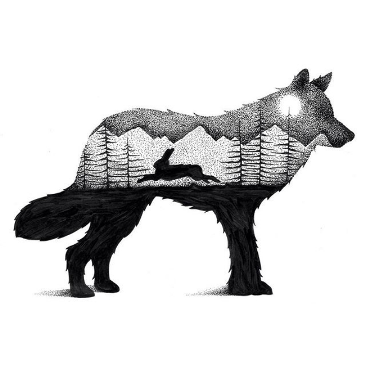 721x721 Wilderness Scenes Illustrated Within Striking Animal Silhouettes - Animal Drawings