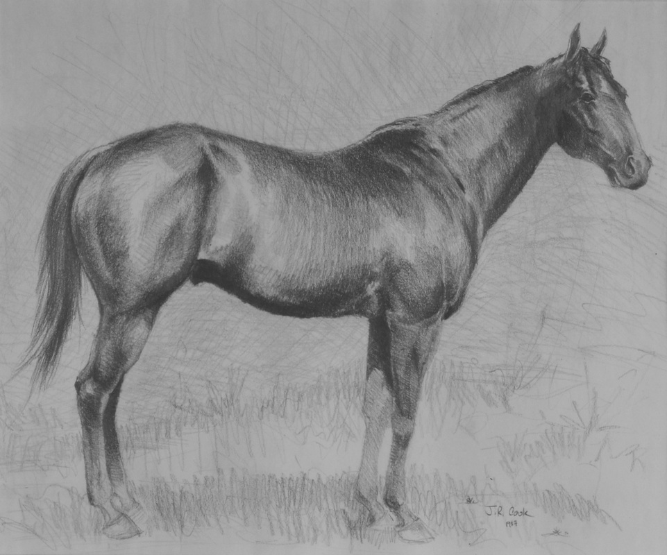 961x800 Animal Drawings - Animal Drawings