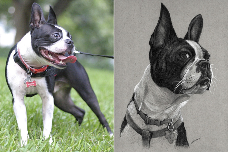 750x500 Cute Animal Drawings That Look Like Real Pets - Animal Drawings Realistic