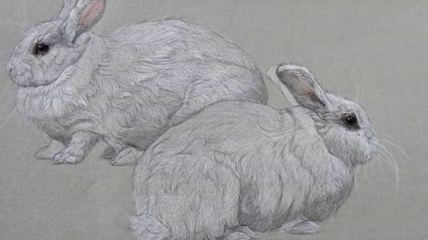 600x337 Drawing Realistic Animals With Patricia Traub - Animal Drawings Realistic