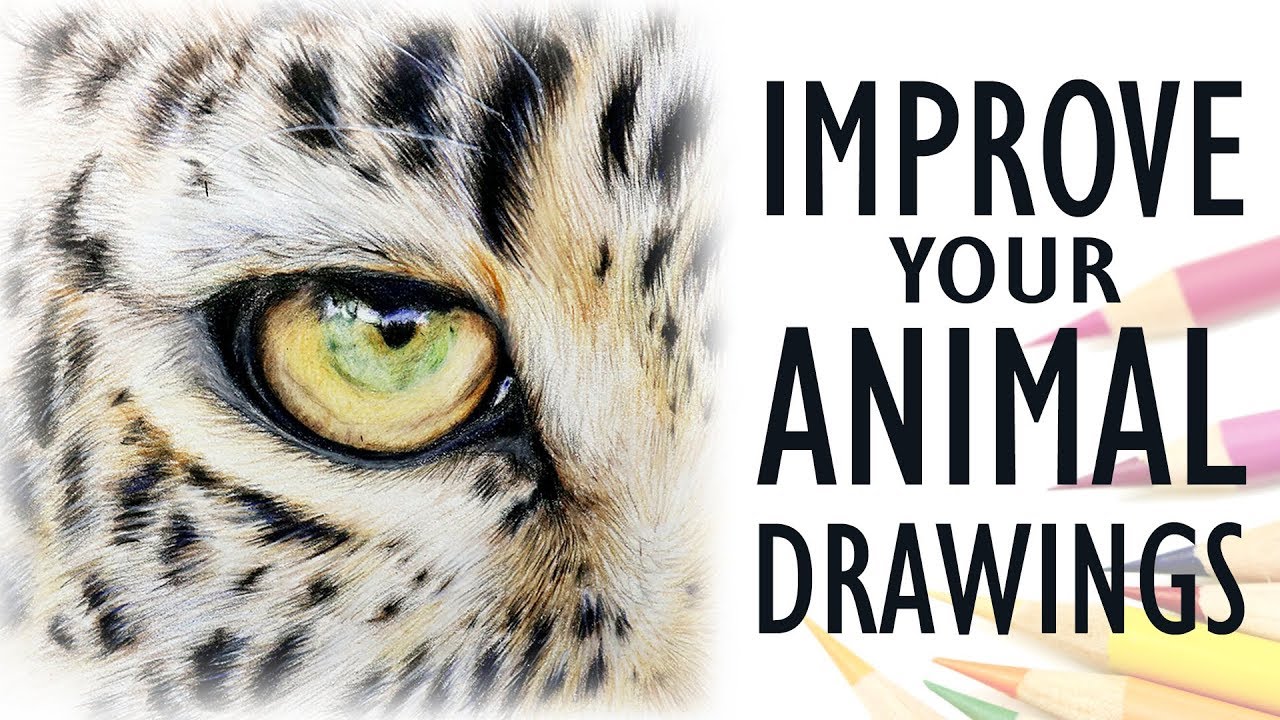 1280x720 Tips For Drawing Realistic Animals Get Better With Colored - Animal Drawings Realistic