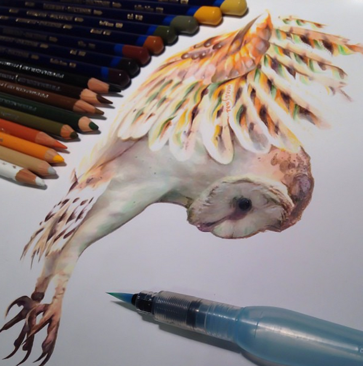 1190x1200 Beautiful Realistic Animal Drawings Pictured Next To The Tools - Animal Drawings Realistic