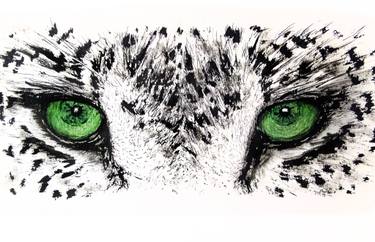 375x242 Green Leopard Eyes Drawing - Animal Eye Drawing