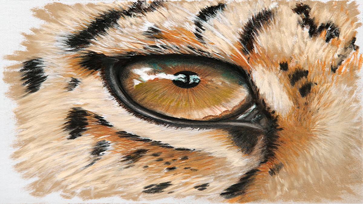 1200x675 How To Illustrate Animal Eyes Creative Bloq - Animal Eye Drawing