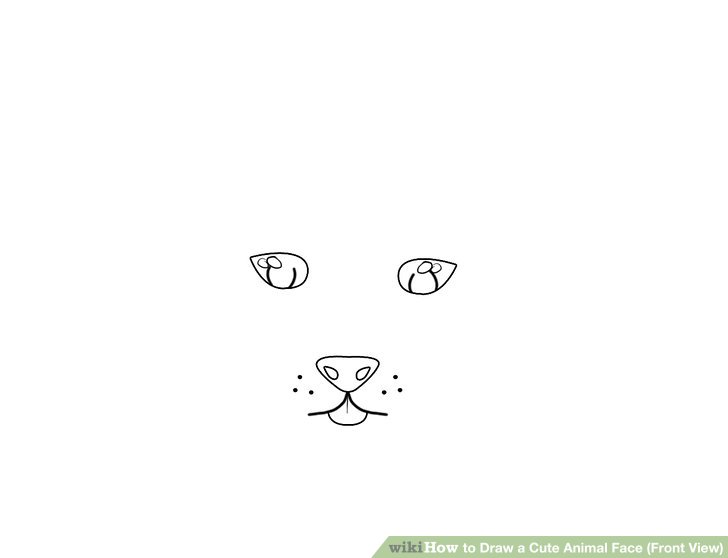 728x558 How To Draw A Cute Animal Face - Animal Face Drawing