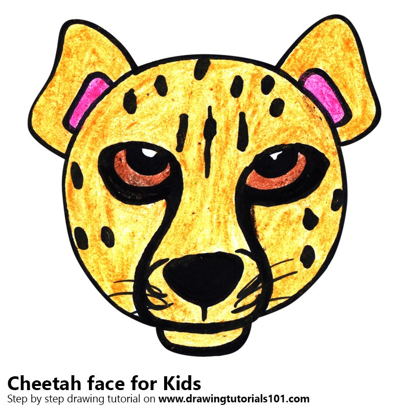 800x800 Learn How To Draw A Cheetah Face For Kids - Animal Face Drawing