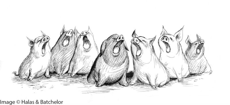 800x366 animal farm - Animal Farm Drawing