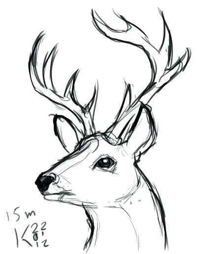 400x517 Image Result For Easy To Draw Deer Head Art - Animal Head Drawings
