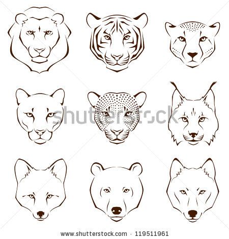 450x470 Set Of Simple Line Illustrations Showing Different Facial Features - Animal Head Drawings