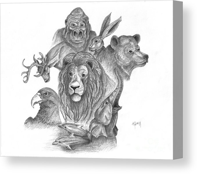 678x597 Animal Kingdom Canvas Print Canvas Art - Animal Kingdom Drawing