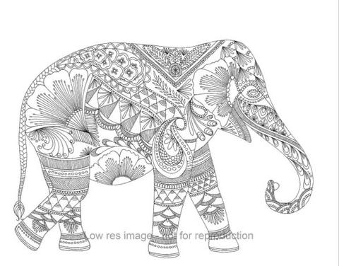 480x376 Animal Kingdom Colouring Kidscorner - Animal Kingdom Drawing