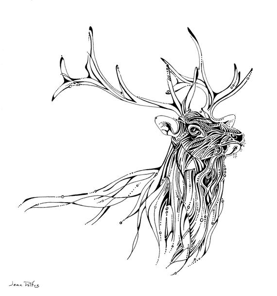 570x609 Elk Line Drawing Elk Illustration Wildlife Artwork Unique Etsy - Animal Line Drawings