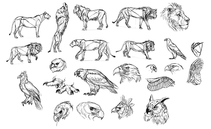 700x428 How To Draw A Griffin - Animal Line Drawings