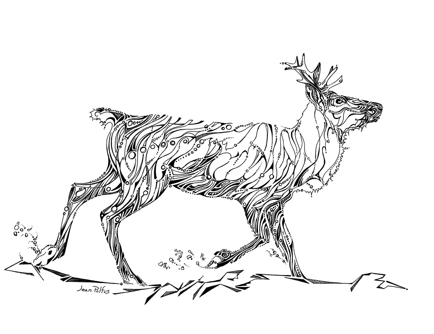 Animal Line Drawings at Explore collection of