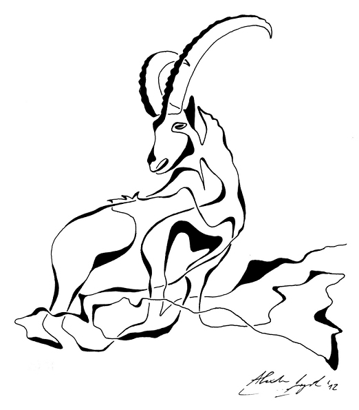 522x595 One Line Animals On Behance - Animal Line Drawings