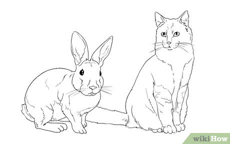 460x288 Ways To Draw Animals - Animal Line Drawings