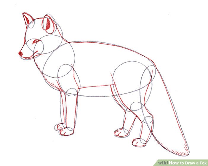702x560 Ways To Draw A Fox - Animal Line Drawings