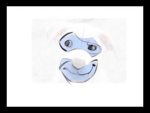 480x360 How To Draw Animal Face Masks - Animal Mask Drawing