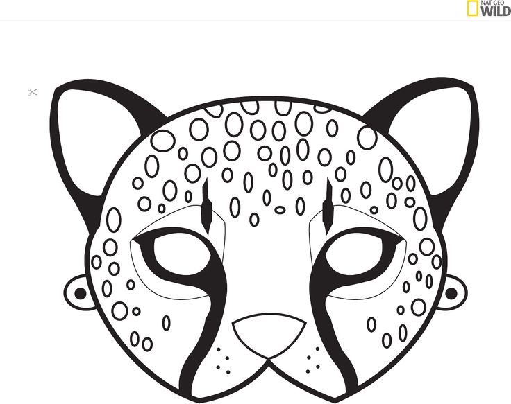 736x583 Image Result For Cheetah With Birthday Hat Drawing Ada - Animal Mask Drawing