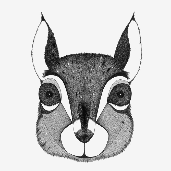 Animal Mask Drawing at Explore collection of