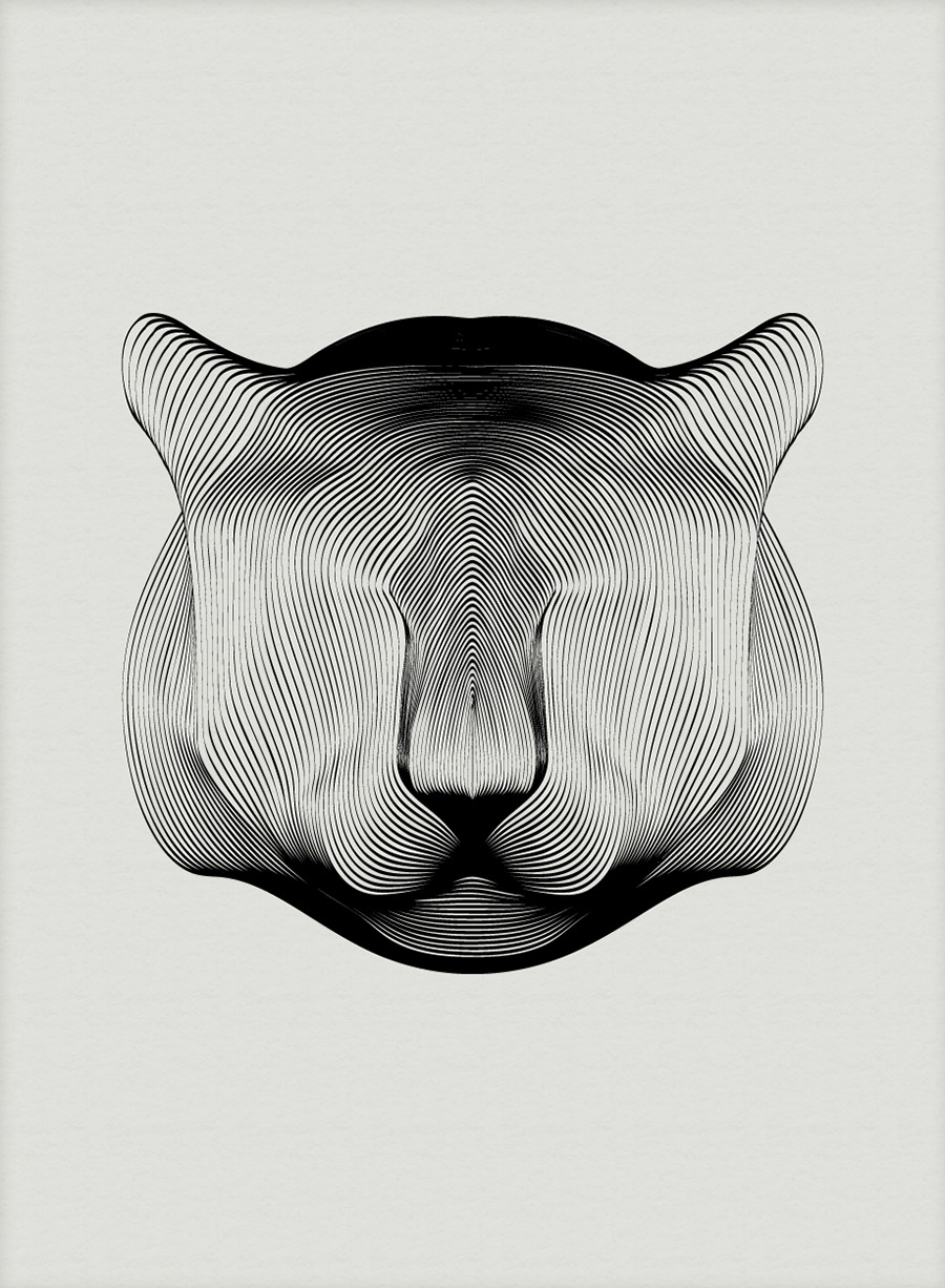 900x1226 Animals Drawn With Patterns Colossal - Animal Patterns Drawing