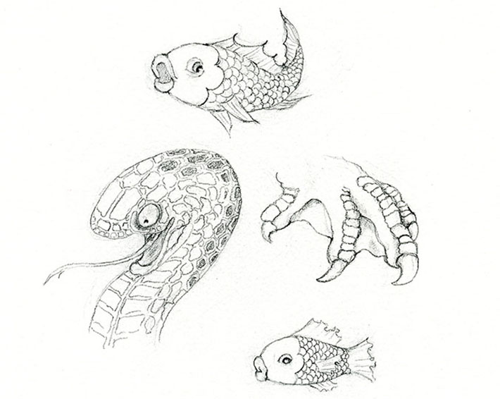 710x566 How To Draw Scales Free Tutorial - Animal Patterns Drawing