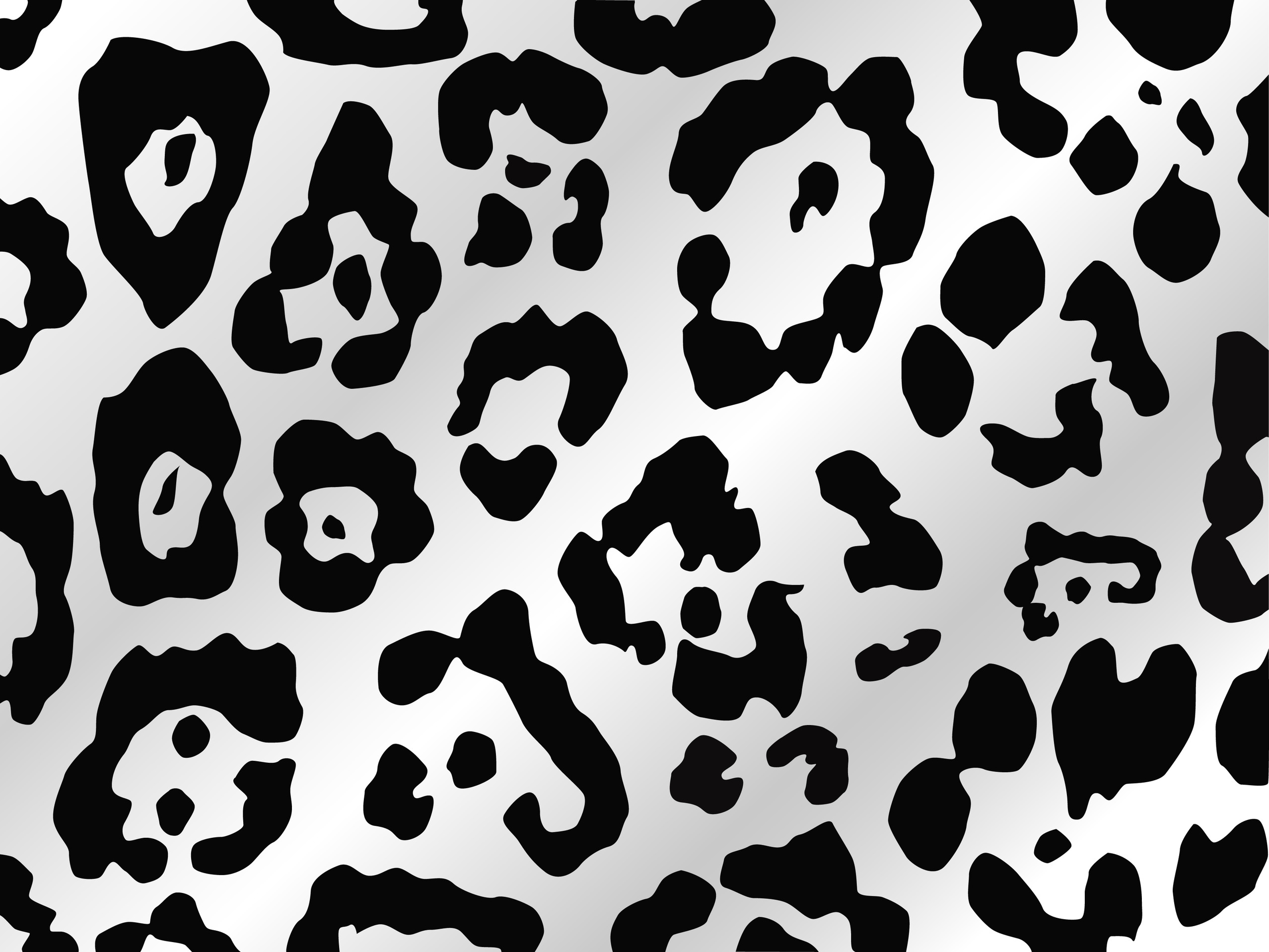 2556x1917 Animal Print Patterns Banner Transparent - Animal Print Drawing
