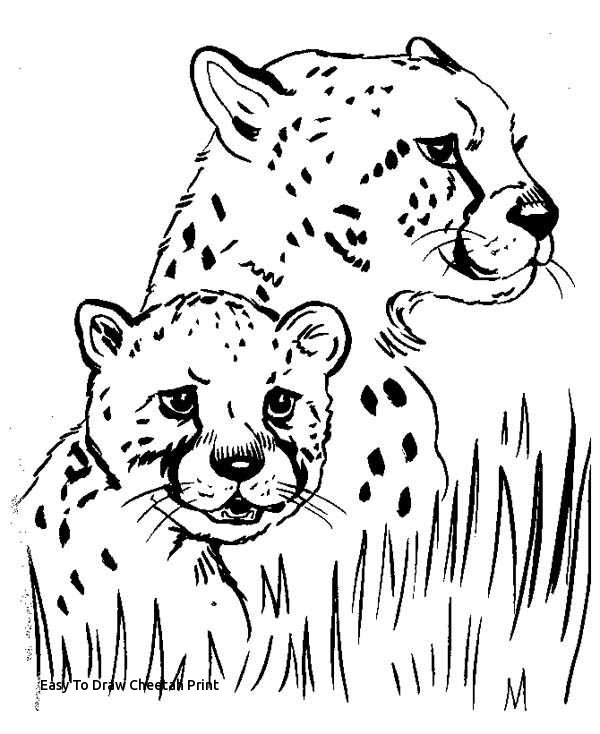 600x734 easy to draw cheetah print cheetah print sheets inspirational - Animal Print Drawing